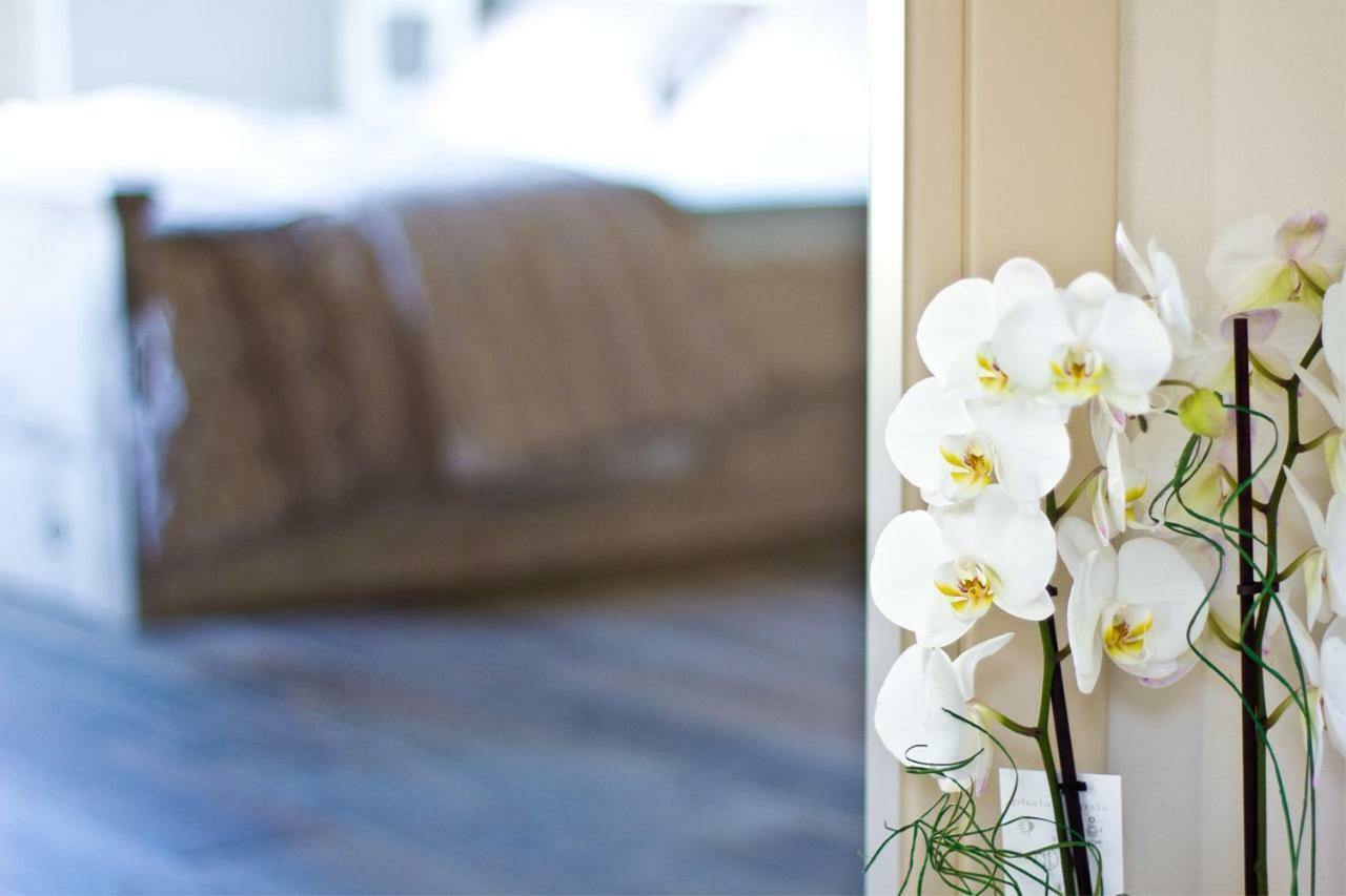 Hotel Nonna Giulina Castagnole delle Lanze Zewnętrze zdjęcie